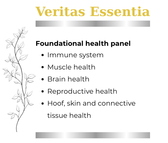 Veritas Essentia