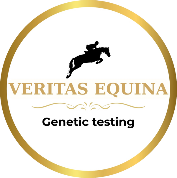Veritas Equina